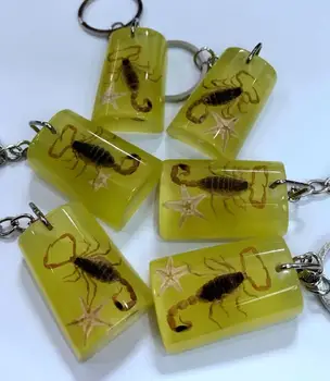 12 vnt naujausias papuošalų vabzdžių Skorpionas magic 