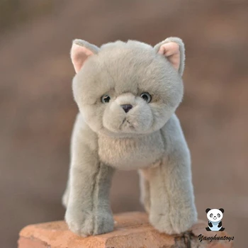 Realiame gyvenime pliušinis Pilkos katės Minkštas ikids žaislai, gimtadienio dovanos, įdaryti British shorthair katė modelis lėlės pateikti žaislas mergaitėms